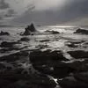 王老师
